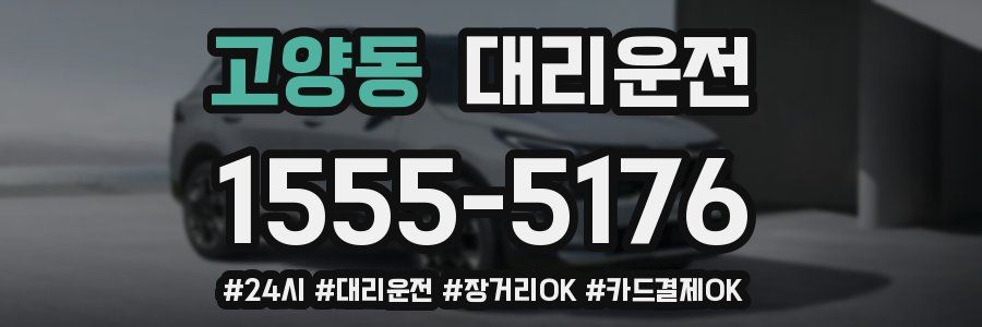 고양동 대리운전