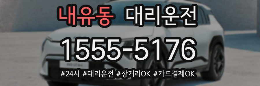 내유동 대리운전