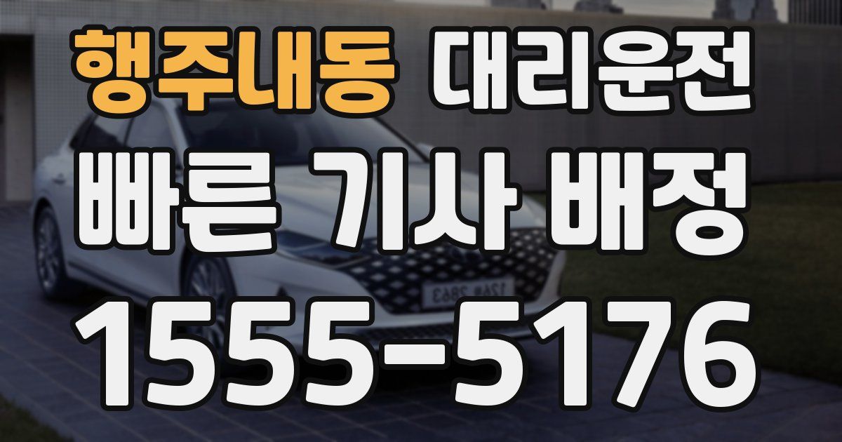일일대리기사