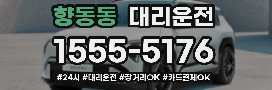향동동 대리운전