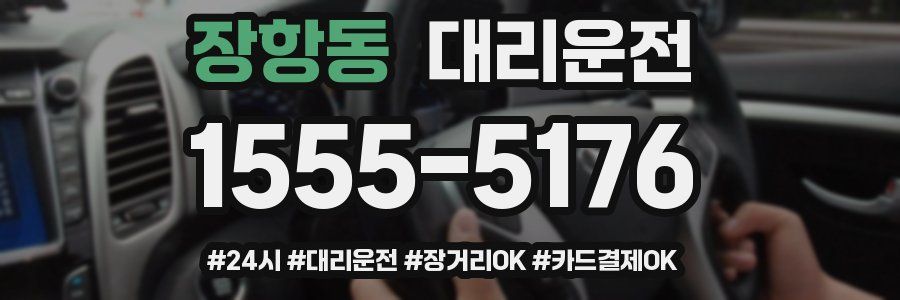 장항동 대리운전