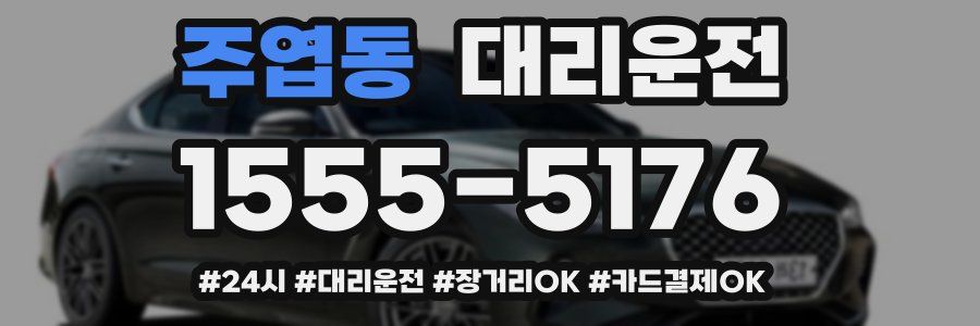 주엽동 대리운전