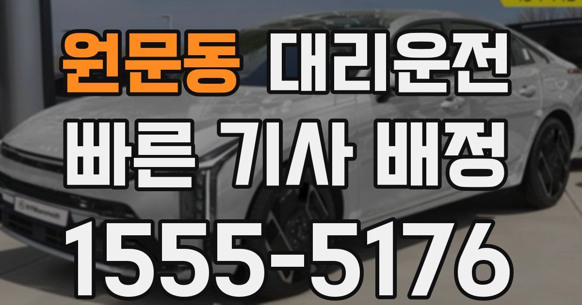 일일대리기사