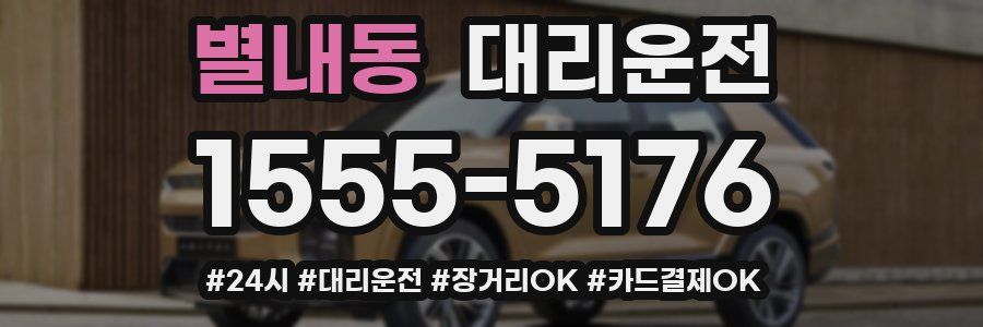 별내동 대리운전