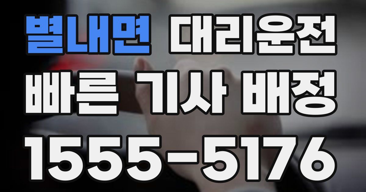 일일대리기사
