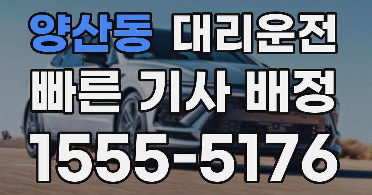 일일대리기사
