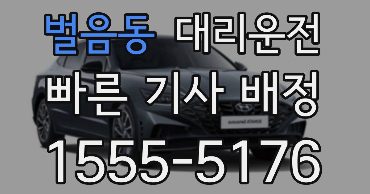 일일대리기사