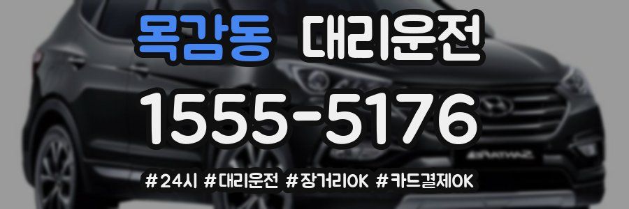 목감동 대리운전