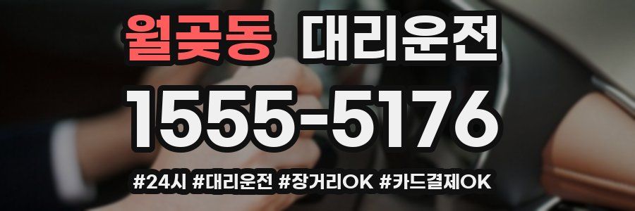 월곶동 대리운전