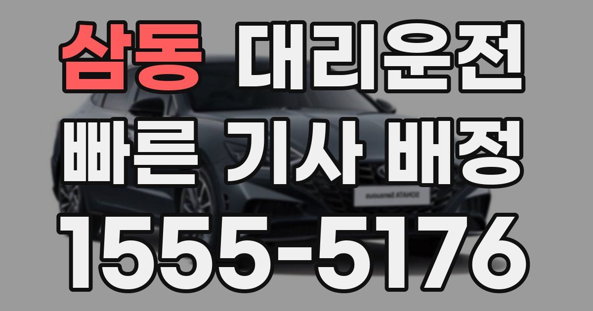 일일대리기사