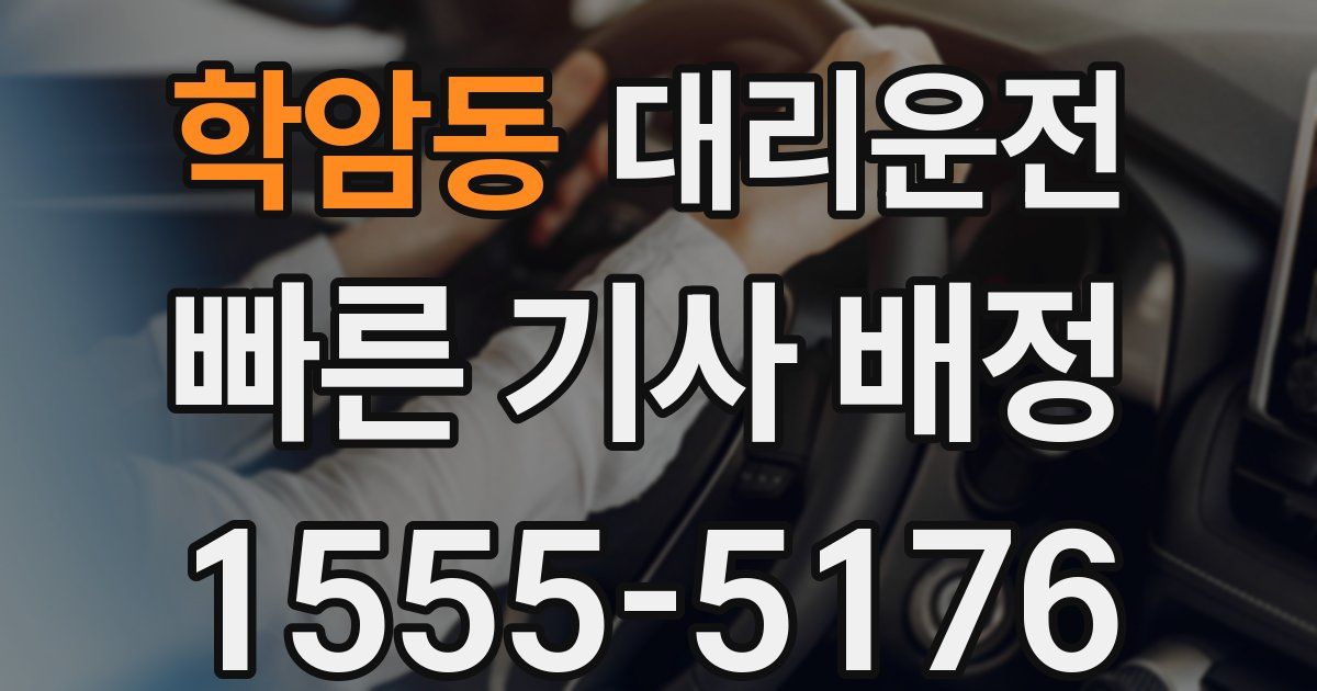 일일대리기사