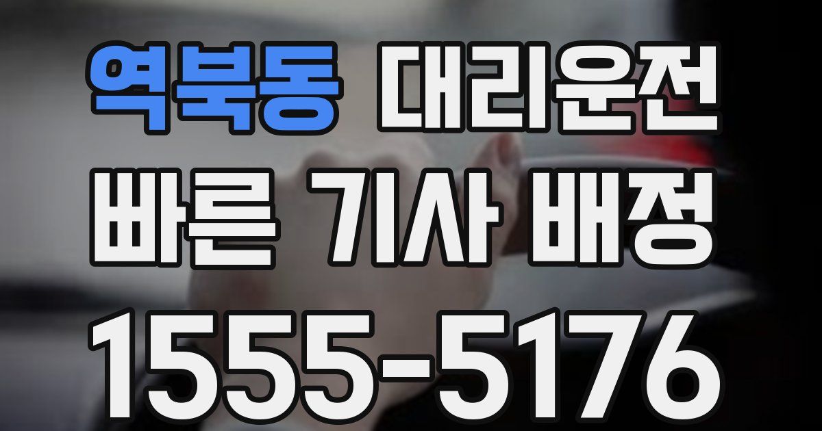 일일대리기사