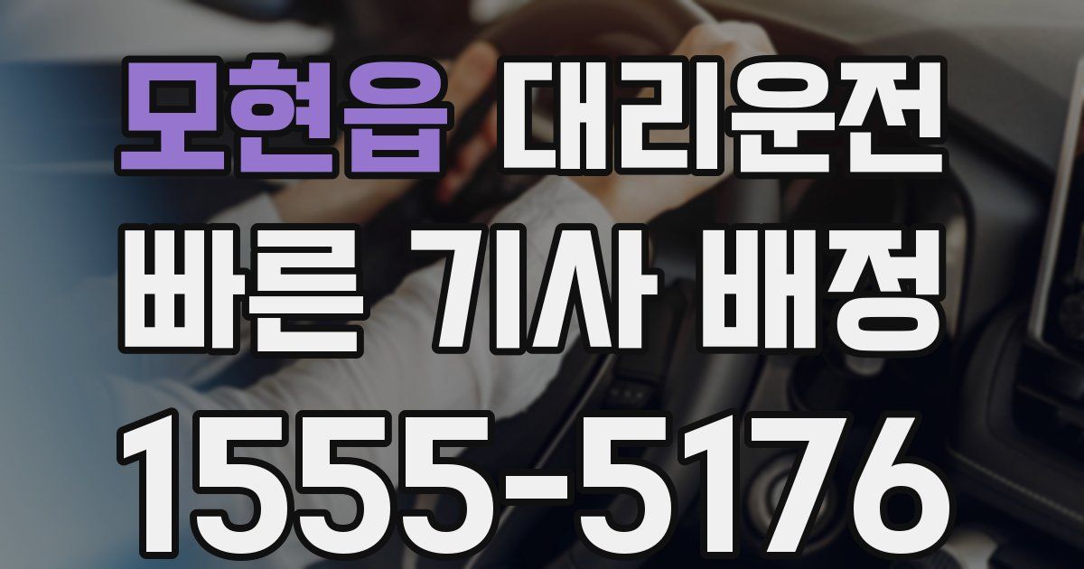 일일대리기사