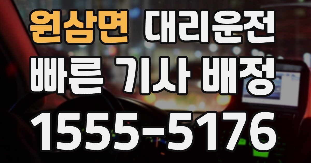 일일대리기사