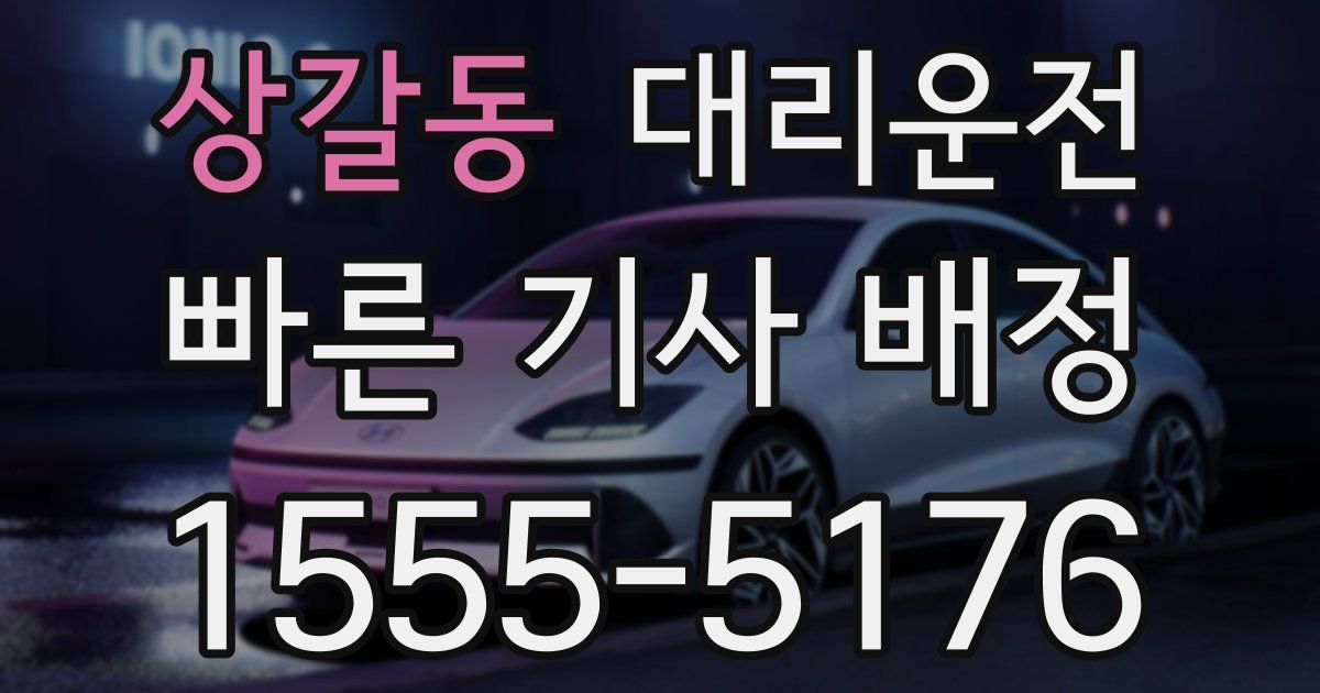 일일대리기사
