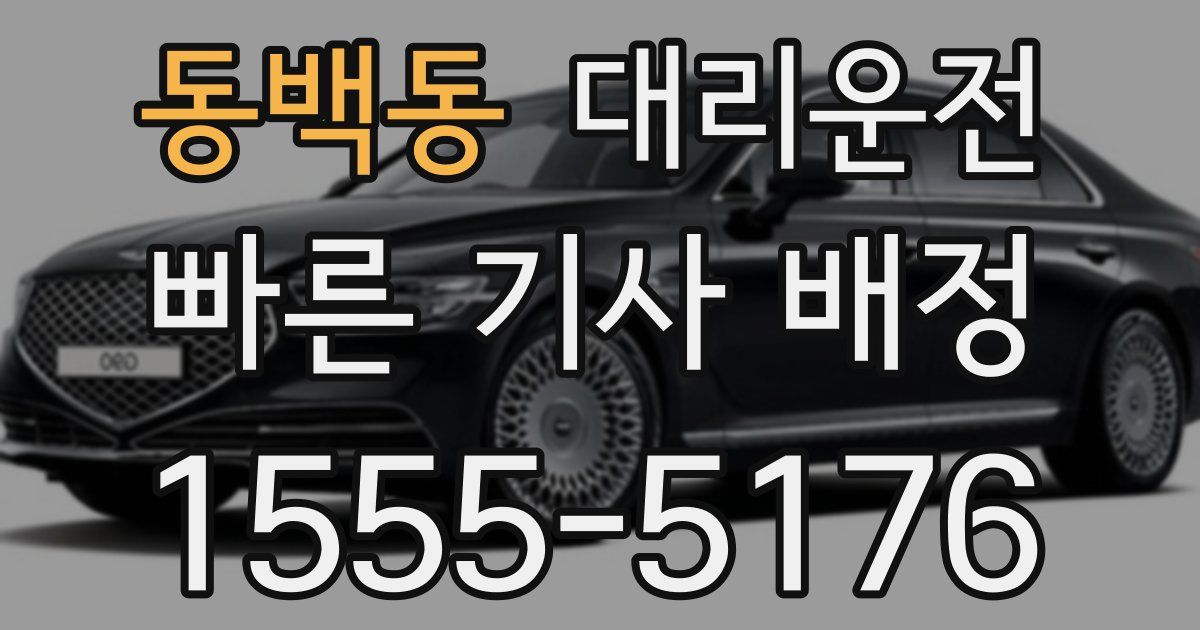 일일대리기사