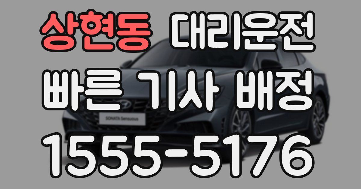 일일대리기사