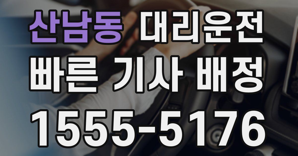 일일대리기사