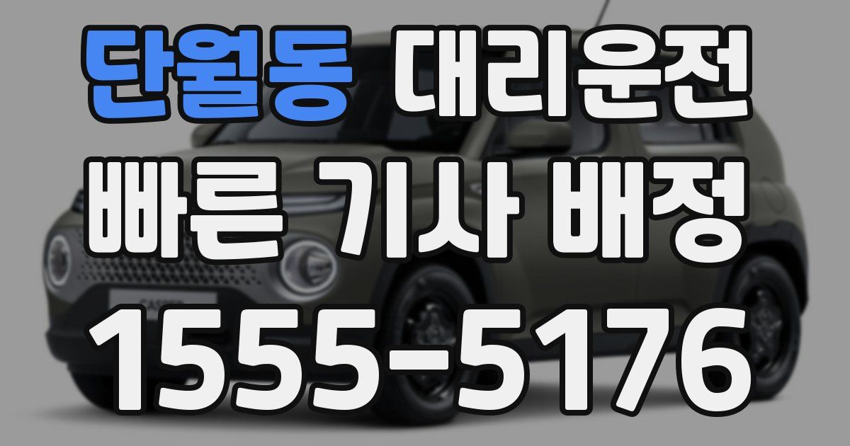 일일대리기사