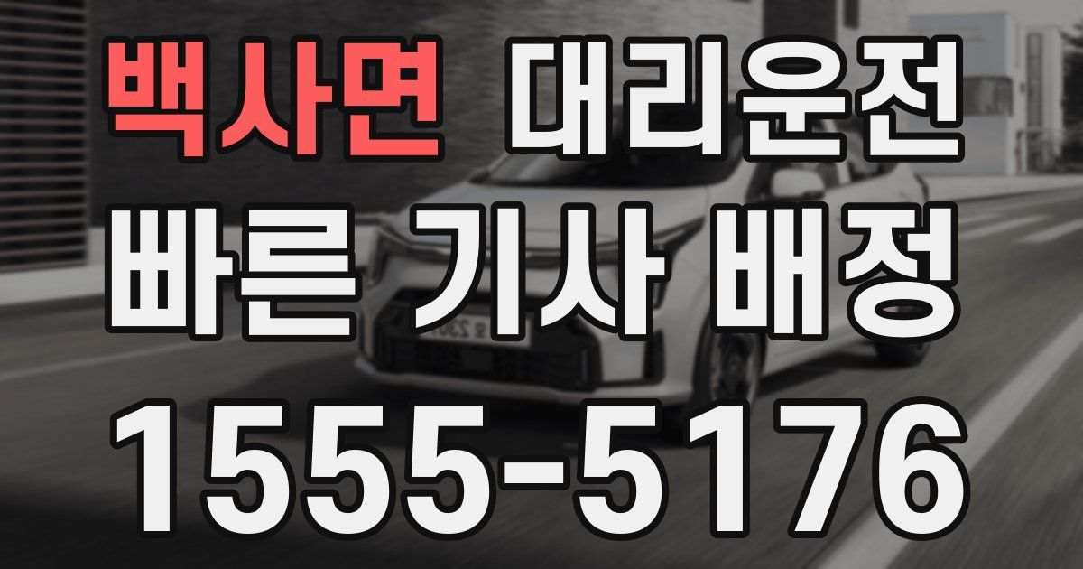 일일대리기사