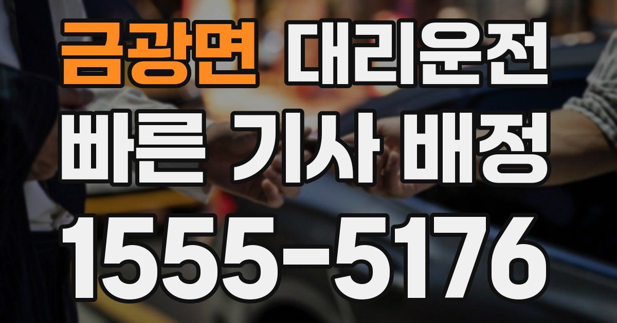 일일대리기사