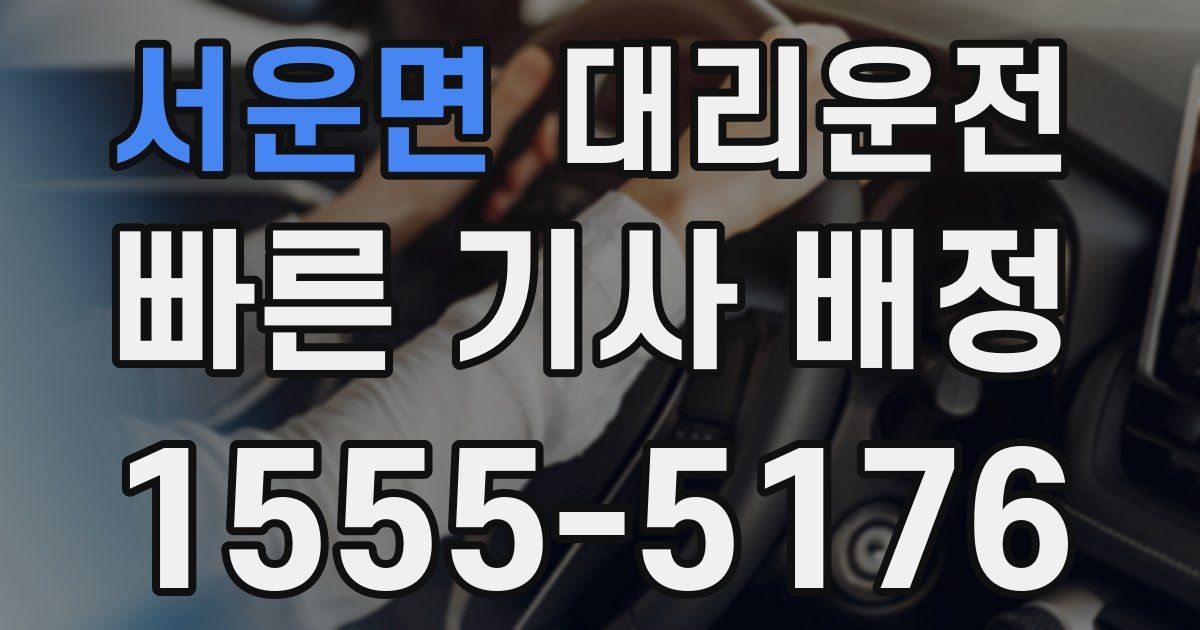 일일대리기사