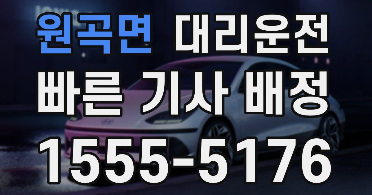 일일대리기사
