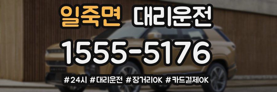일죽면 대리운전
