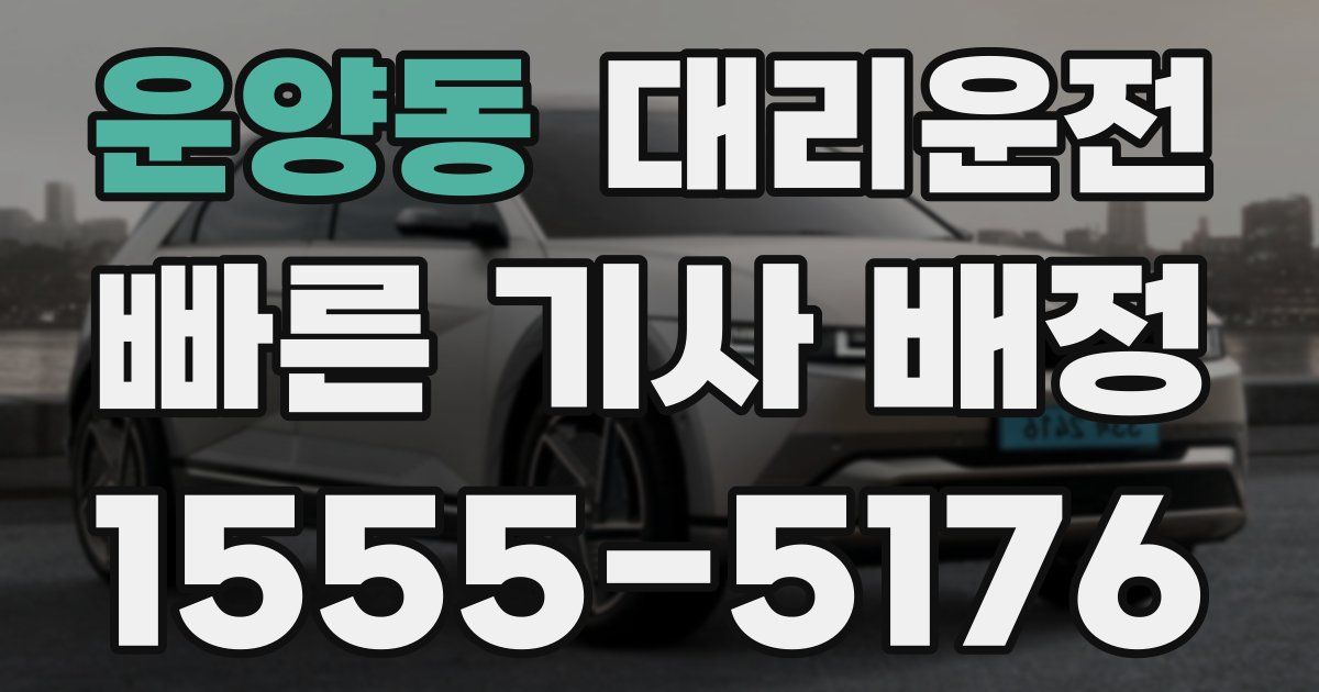 일일대리기사