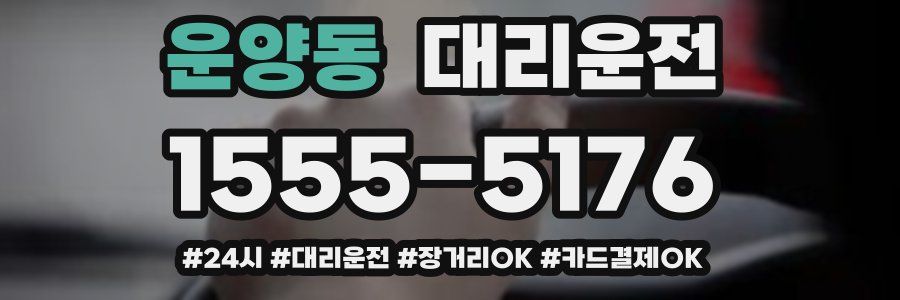 운양동 대리운전