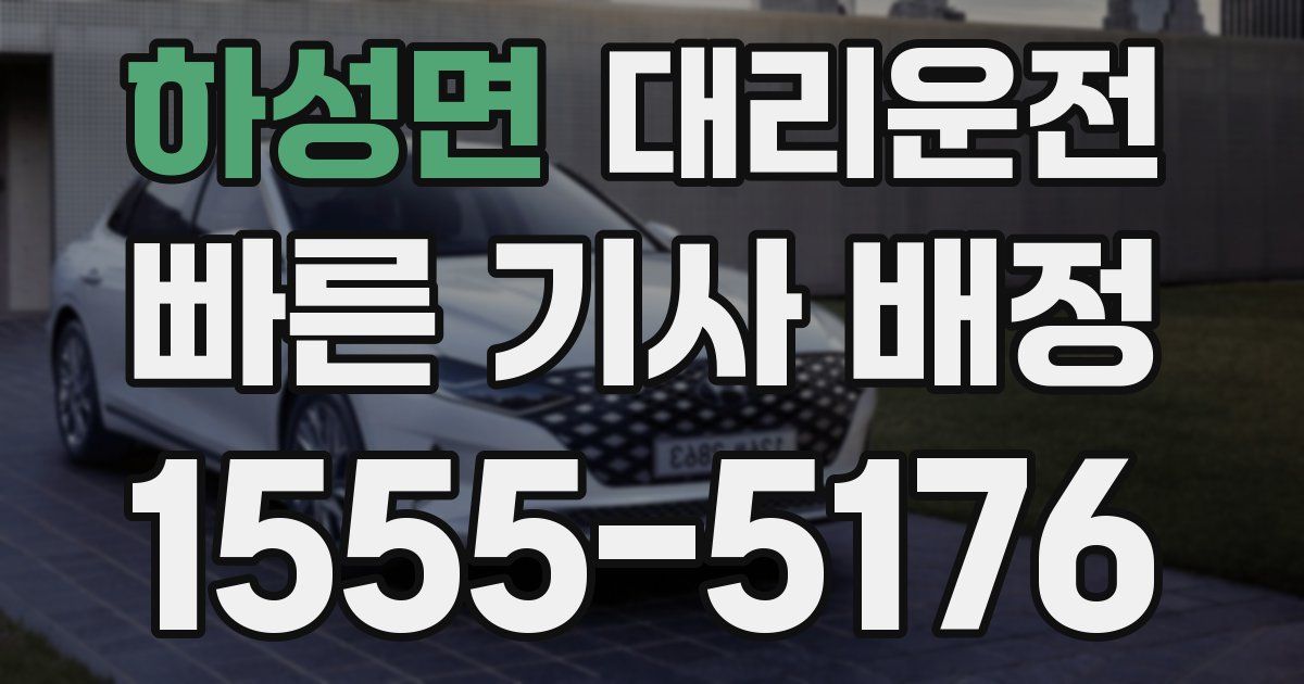 일일대리기사