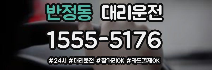 반정동 대리운전