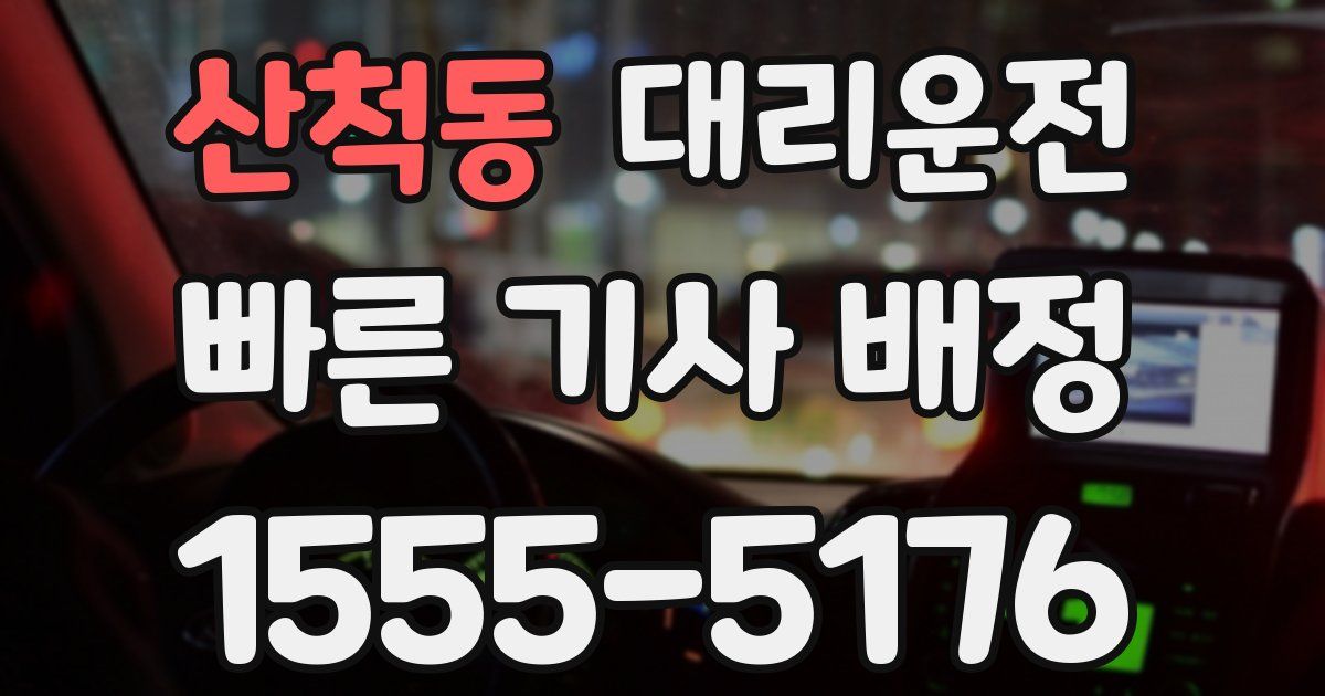 일일대리기사