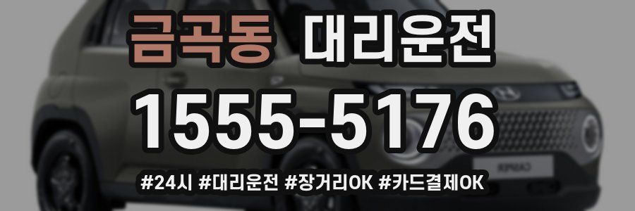 금곡동 대리운전