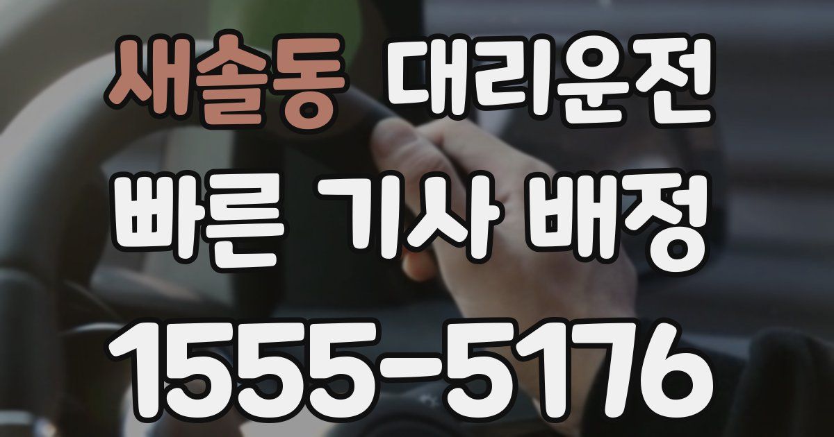 일일대리기사