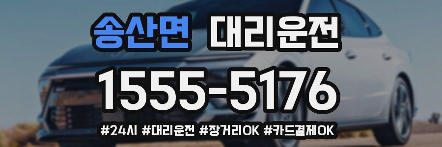 송산면 대리운전