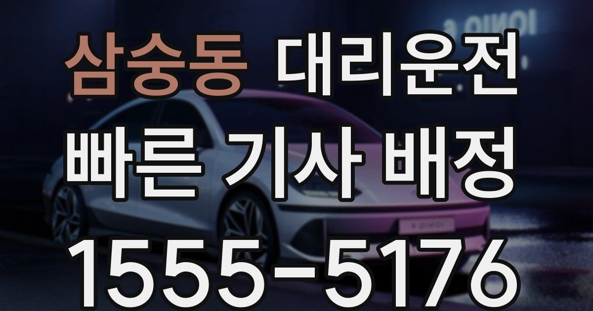 일일대리기사
