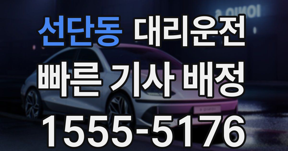 일일대리기사