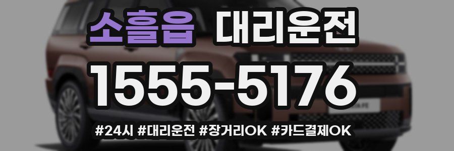 소흘읍 대리운전