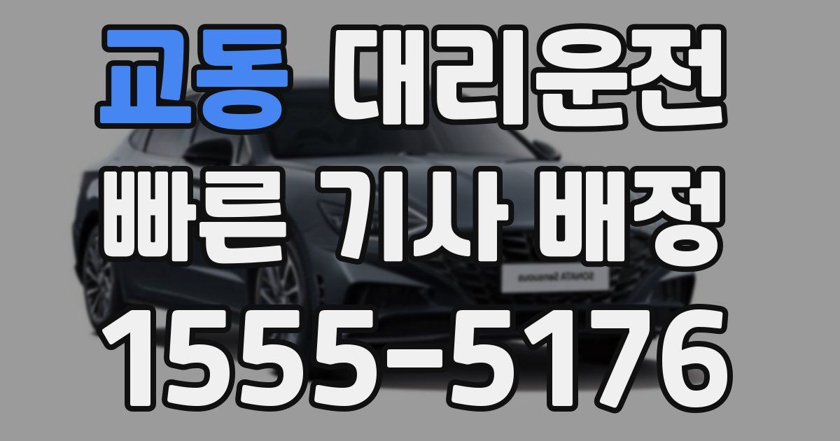 일일대리기사