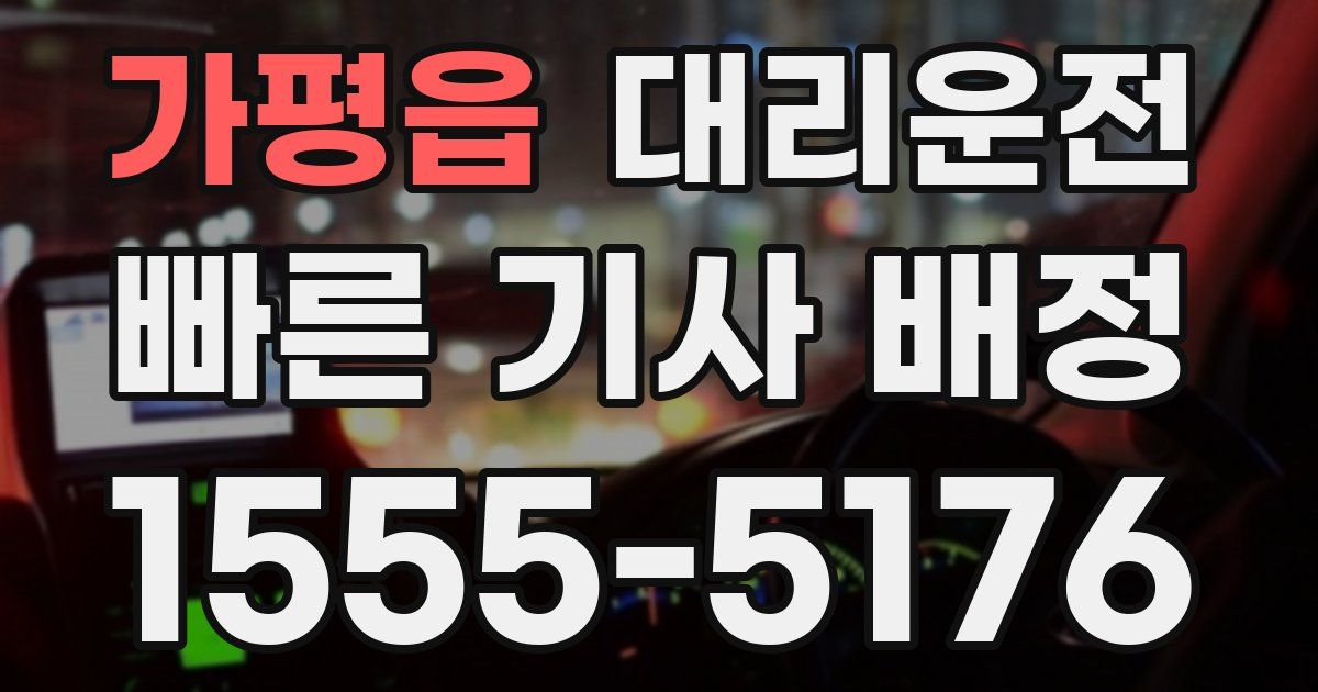 일일대리기사