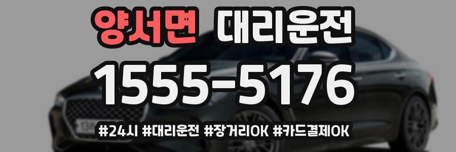 양서면 대리운전