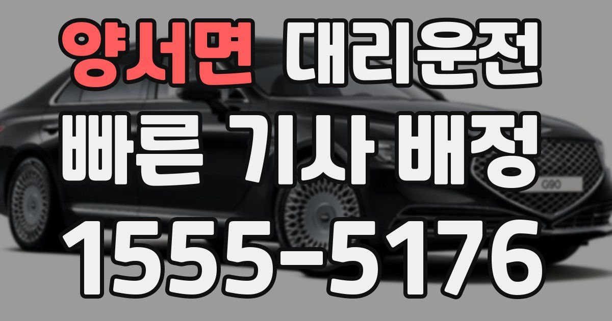 일일대리기사