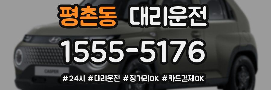 평촌동 대리운전