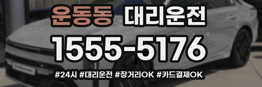 운동동 대리운전