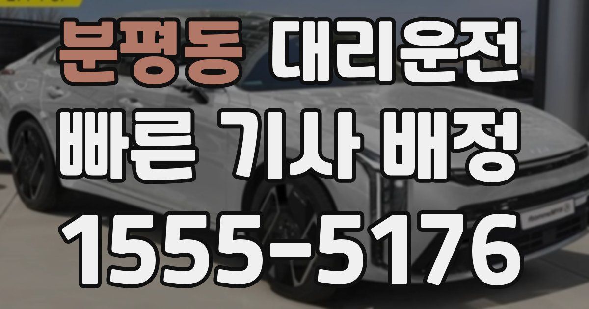 일일대리기사