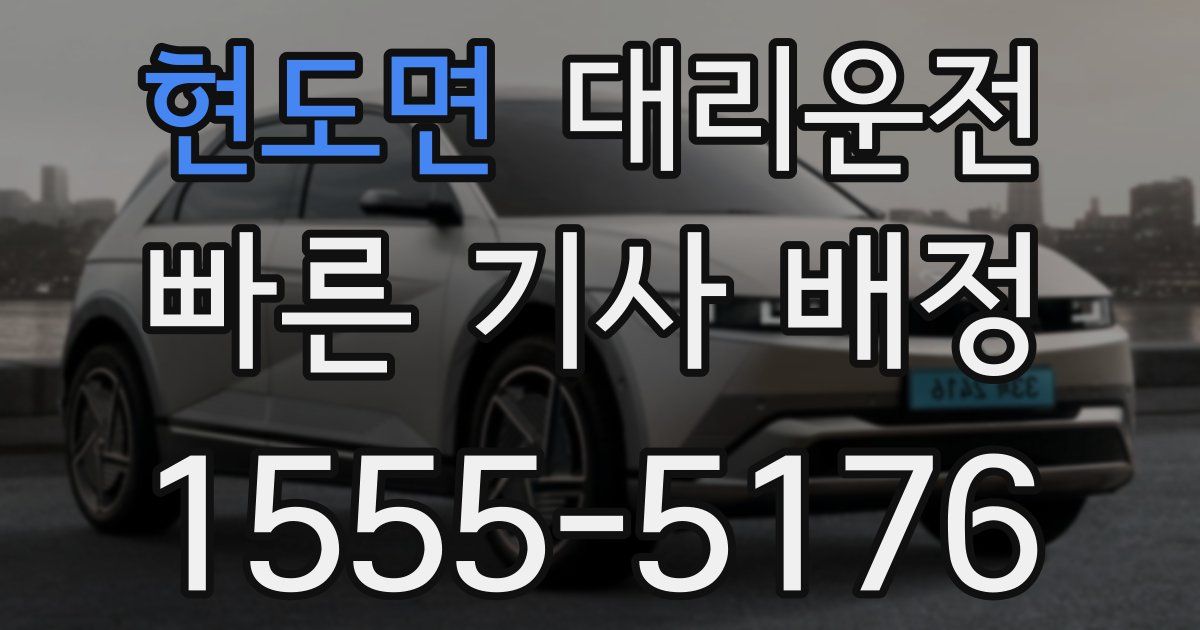 일일대리기사