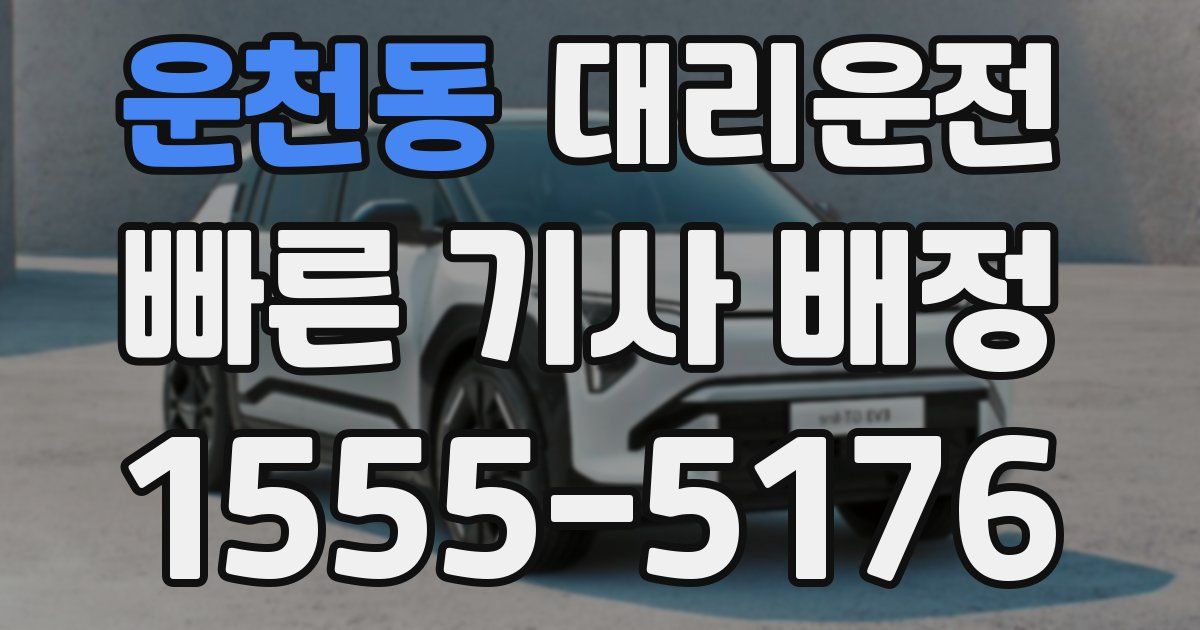 일일대리기사