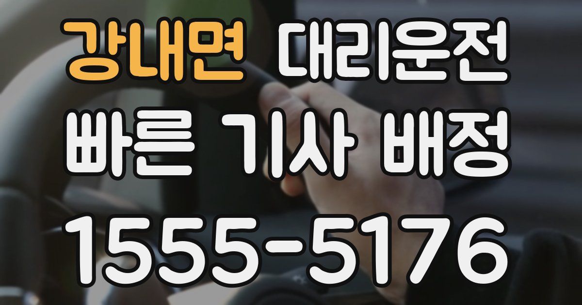 일일대리기사