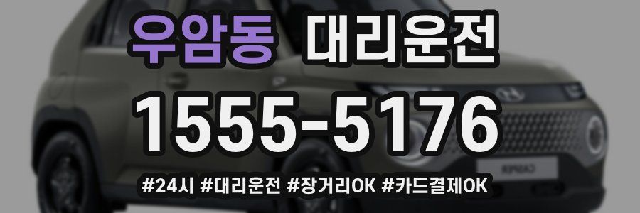 우암동 대리운전